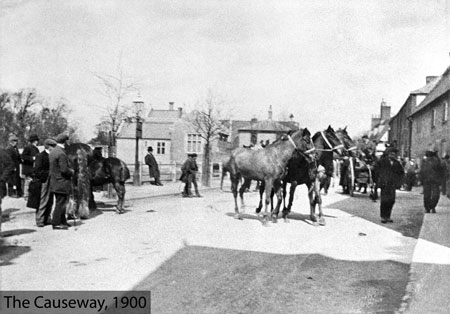 Horse Fair Causeway Web