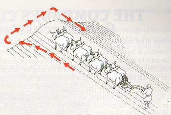 medieval farming in godmanchester