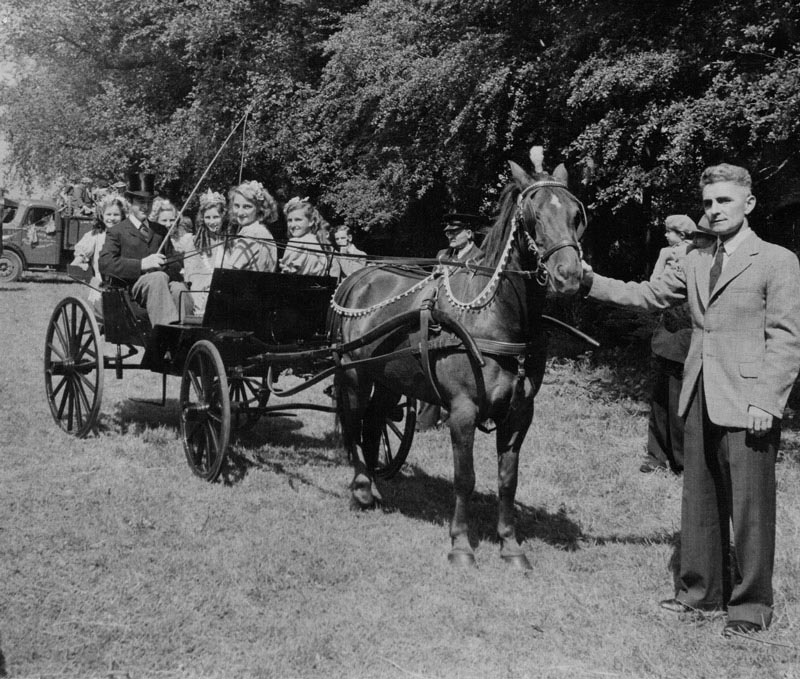 A local horse and carriage used all the week.