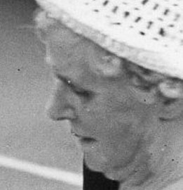 Godmanchester St-Annes Primary School Mugshot